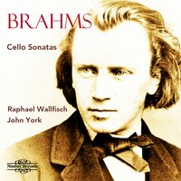 Sonata in E Minor, Op. 38: I. Allegro non troppo - Raphael Wallfisch & John York & Иоганнес Брамс