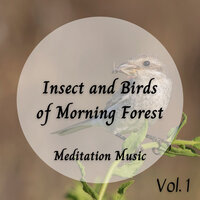 Guided Sleep Meditation - Silentography & Nature Sleep & Yoga Meditation and Relaxation Music