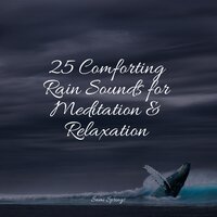 Rain From the Heavens - meditacou musica ambiente & Meditation Awareness & Rain Hard