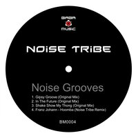 Hoomba - Franz Johann & Noise Tribe