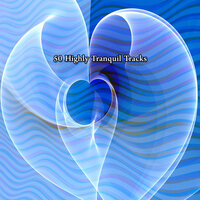 Meditation Relief - Japanese Relaxation and Meditation