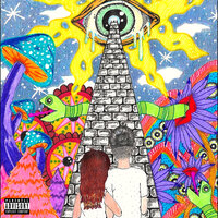 Back to You - Shivani & Natural Born Flow