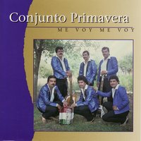 Echame A Mi La Culpa - Conjunto Primavera