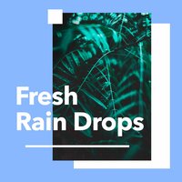 Nature Sounds Of A Forest (Loopable) - Rain Sounds & Nature Sounds