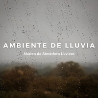Sonidos Relajantes Del Bosque - Sonidos De Lluvia y Tormentas & Relajantes sonidos de lluvia & Dormir Profundamente en Minutos