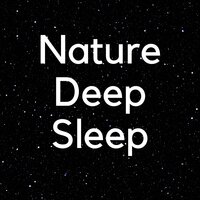 Lose You To Love Me - Rain Sound - Sleep 'n' Sleep