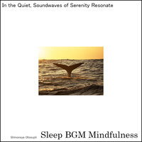 Soothing Moments Infused with Ambient Soundscapes for Restful Sleep - Sleep BGM Mindfulness