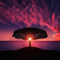Gazing Skyward - White Noise Nature Sounds Baby Sleep, Deep Sleep Music Maestro, Spa & Spa & Spa & Spa & Deep Sleep Music Maestro & White Noise Nature Sounds Baby Sleep