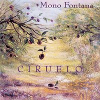 Aquí, Después - Mono Fontana