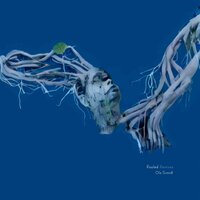 Rooted - Ola Szmidt & Louf