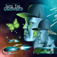 Holographic Hallow Ground - Def-I & Mc Optimal