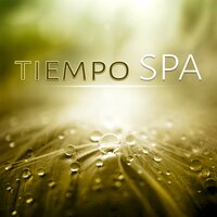 Regeneración - Amazing Spa Universe