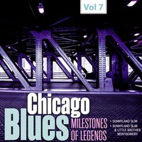 No Special Rider Blues - Sunnyland Slim