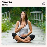 Buddhist Meditation - Meditation for Beginners & Meditation Zen & Chakra Meditation Specialists & Healing Meditation Music