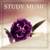 A Cup of Tea - Study Therapy Specialists