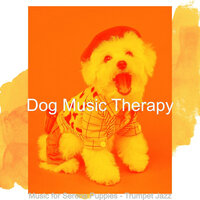 Trio Jazz Soundtrack for Doggy Mental Health - Dog Music Therapy