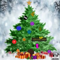 Presents - DGUK