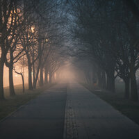 In the Wind - Exam Study Classical Music Orchestra & Heavy Rain Sounds & Restless Baby Music