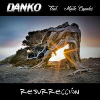 Se intentó - Danko