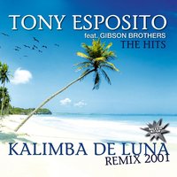 Camminando - Tony Esposito