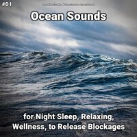Ocean Sounds Part 33 - shoreline sounds & Nature Sounds & Ocean Sounds