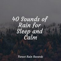 Ocean Waves (Medium) - Kinderlieder-Superstar & Zen Music Garden & Deep Horizon Waves