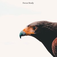 The Sky Is the Limit - Studying Music & Study Music and Piano Music & Focus Study