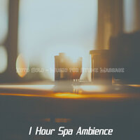 Hot Ambiance for Facial Therapy - 1 Hour Spa Ambience