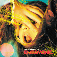 Convinced of the Hex - The Flaming Lips