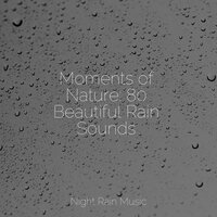 Forest, Busy, Animals - Help Me Sleep & Organic Nature Sounds & Calming Sounds