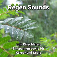 Entspannt im Winter - Larina Mergs & Rain Sounds & Nature Sounds