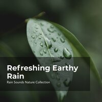 Rain in the Wilderness - ASMR Rain Sounds & Rain Sounds Nature Collection & Sleepy Rain