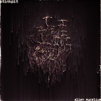 Oxygen - Stinkpit