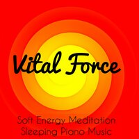 Vital Force - Vital Energy Duo