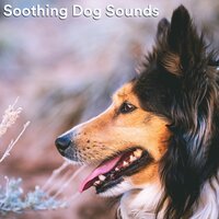 Life & Death - Sleepy Dogs & Dog Calming Music & Dog Relaxation