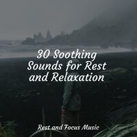 Power Nap Music - Exam Study Classical Music Orchestra & Música Zen Relaxante & Tranquility Spa Universe