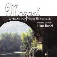 Don Giovanni, K. 527: Introduzione: Notte e giorno faticar - Julius Rudel & Amadeus Ensemble & Вольфганг Амадей Моцарт