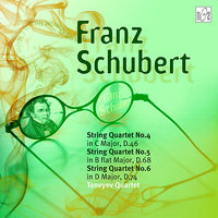 Franz Schubert.String Quartet No.6 in D Major, D.74:Menuetto Allegro - Taneyev Quartet