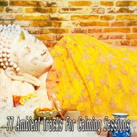 The Dawn Chorus of Binaural Beats - White Noise Meditation