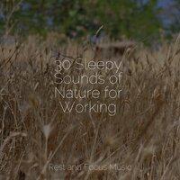 Morning Mists - Tinnitus Aid & Monarch Baby Lullaby Institute & Schlaflieder Für Kinder