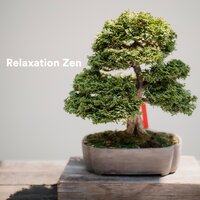 Raining - Relaxation Mentale & Bouddha Musique Sanctuaire & Detente Spa Musique Collection