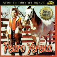 Sea por Dios - Pedro Yerena