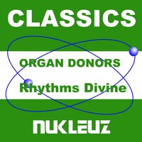 Rhythms Divine - Organ Donors