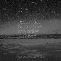 Misty Morning Magic - Tinnitus Aid & Meditation Awareness & Sleeping Baby Songs