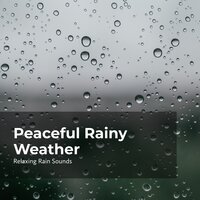 Unwind in Wet Weather - Relaxing Rain Sounds & Rain Drops for Sleep & Rain for Sleep