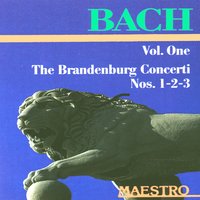 Violin Concerto No. 2 In E Major, BWV 1042 (Allegro Assai) - Johann Sebastian Bach & Otto Buchner