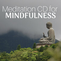 Healing Music - Unlimited Meditation Mindfulness