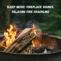 Focus time - Outdoor Field Recorders & Spa & Dog Spa Music Paradise