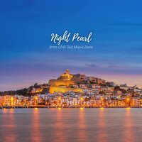 Chill House Grooves - Ibiza Chill Out Music Zone