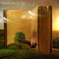 Find Peace Within, Not Without - Study Time & Study Music Library & Focus & Work